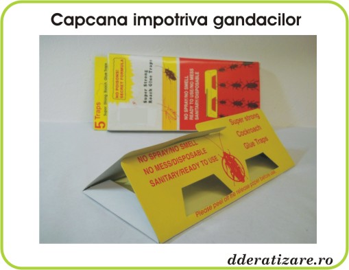 Capcane impotriva gandacilor cu lipici